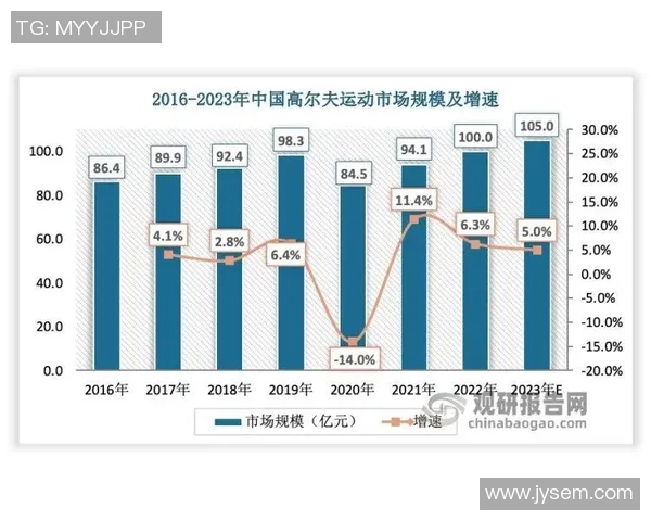杭州羽毛球队技术对比深度解析与发展趋势探讨
